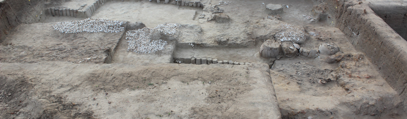 Archaeological Excavationn at Alagankulam, Ramanathapuram District